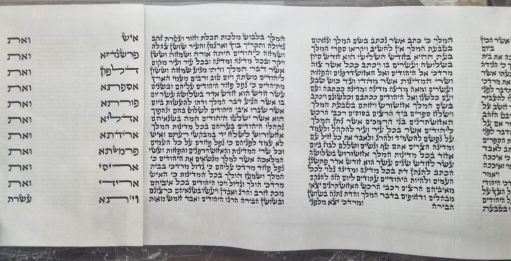 מגילות אסתר (5)