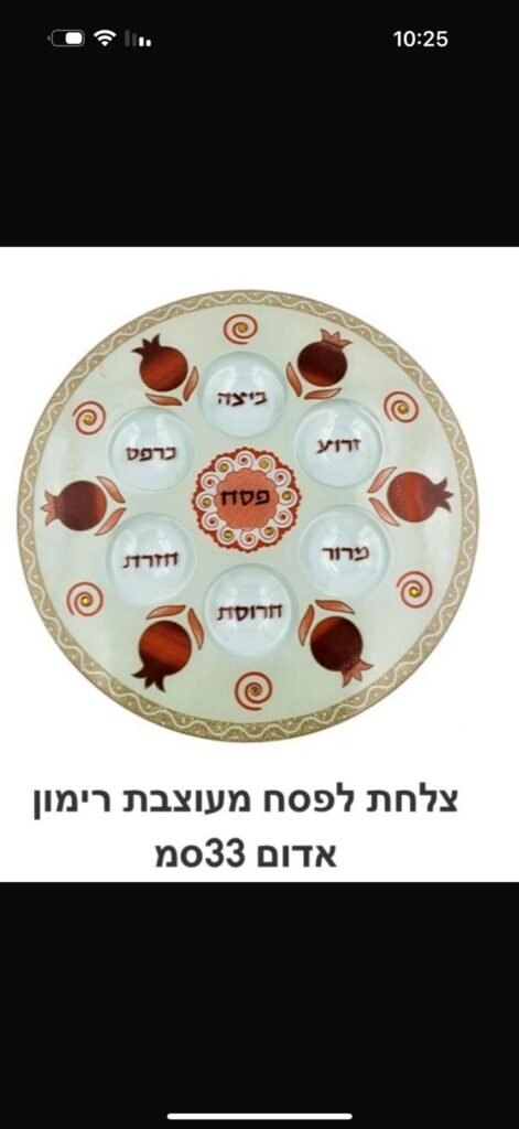 פסח (19)