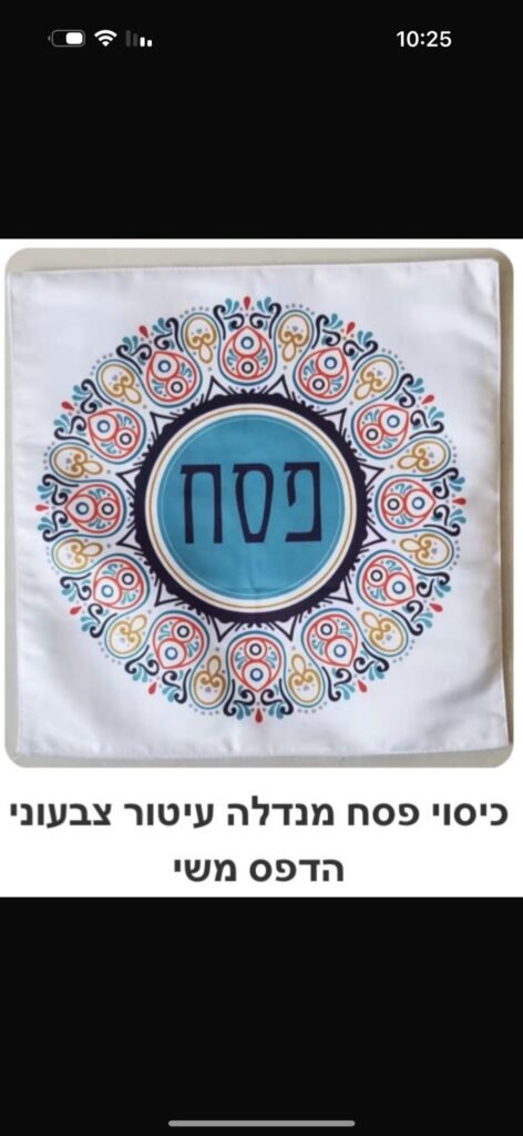 פסח (24)