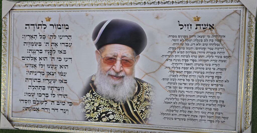 תמונות צדיקים (6)