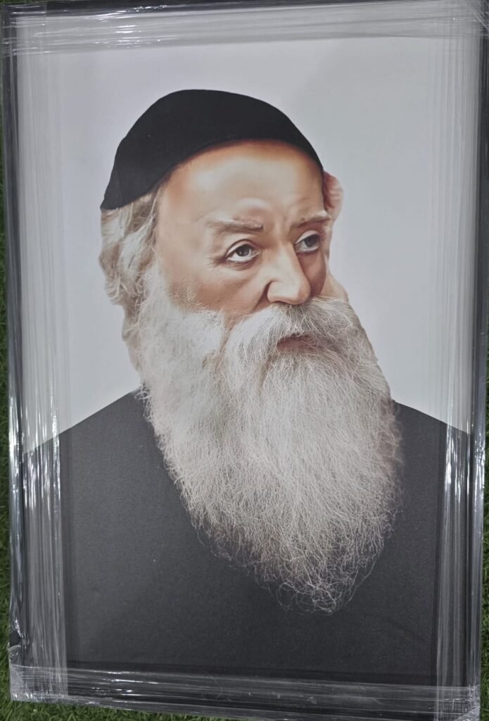 תמונות צדיקים (7)